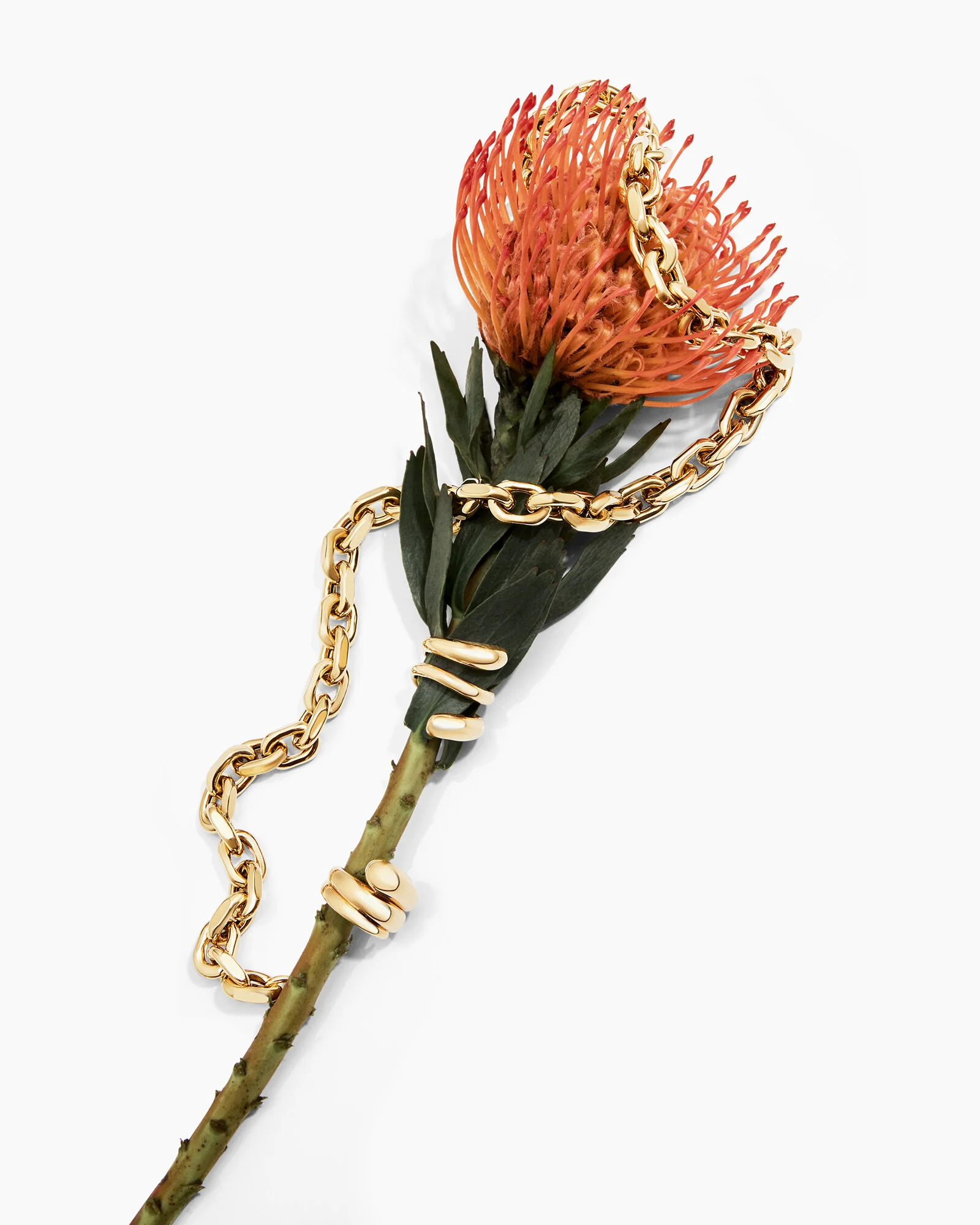 RABAT-70´S_0023 1_V2 copia.jpg