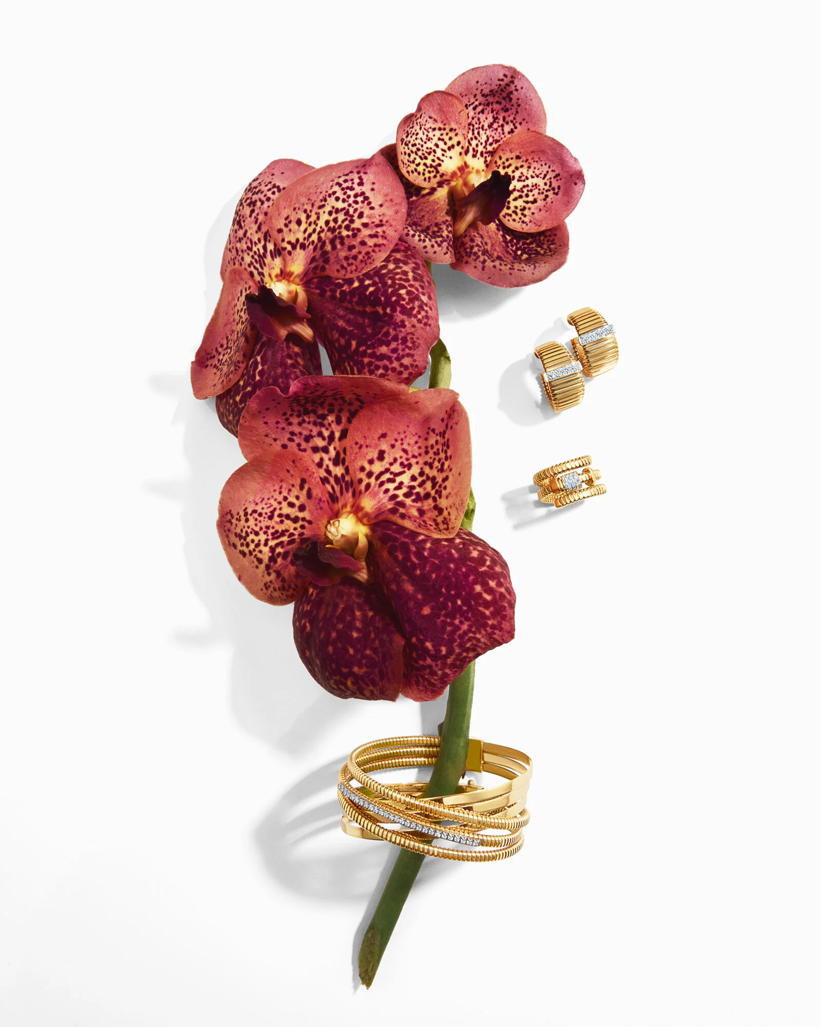 RABAT-70´S_0046 1_V2 copia.jpg