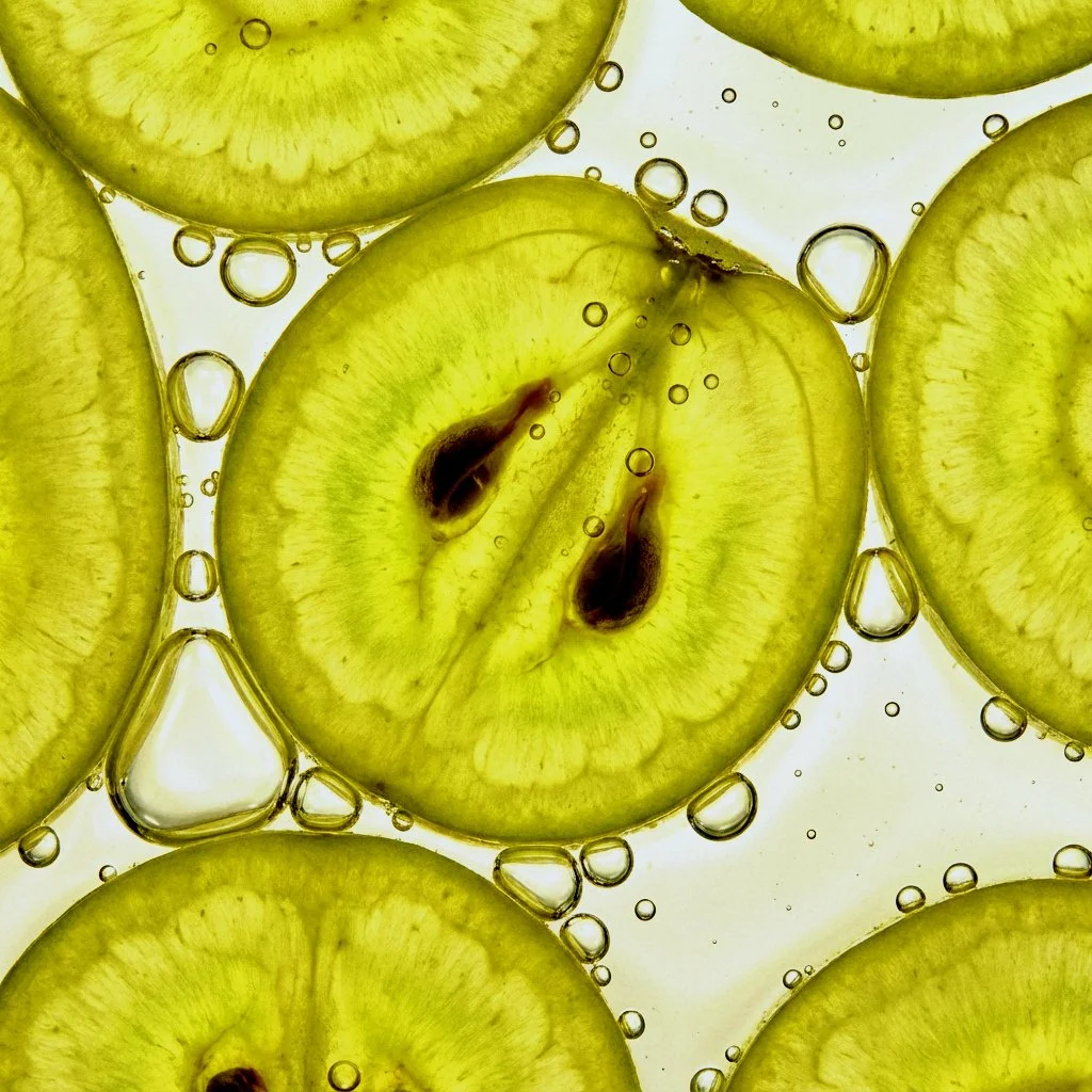 freepik__ultramacro-closeup-shot-perpendicular-view-of-seve__4562 copia.jpg