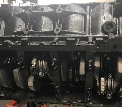 ls3.jpg