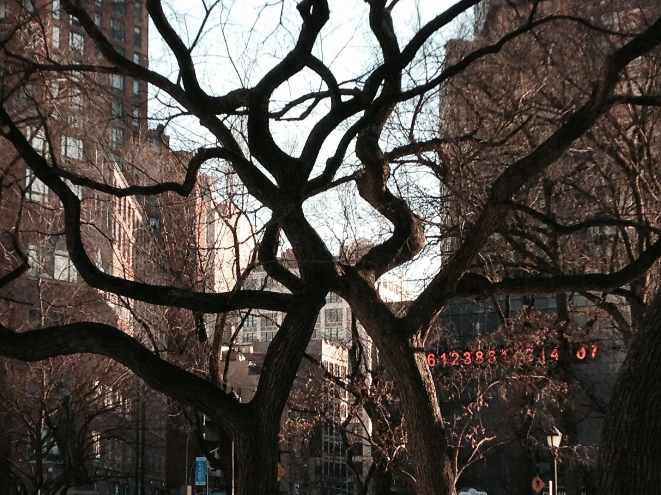 Union Square, New York City