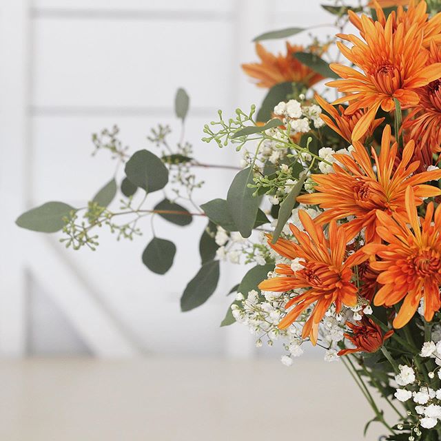 OPEN &mdash; Sunday 8/4, 1:30-4:30 PM