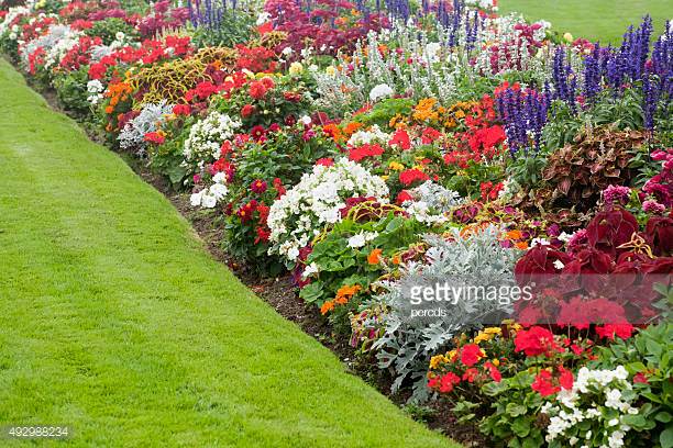Photo by percds/iStock / Getty Images