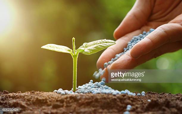 Photo by weerapatkiatdumrong/iStock / Getty Images