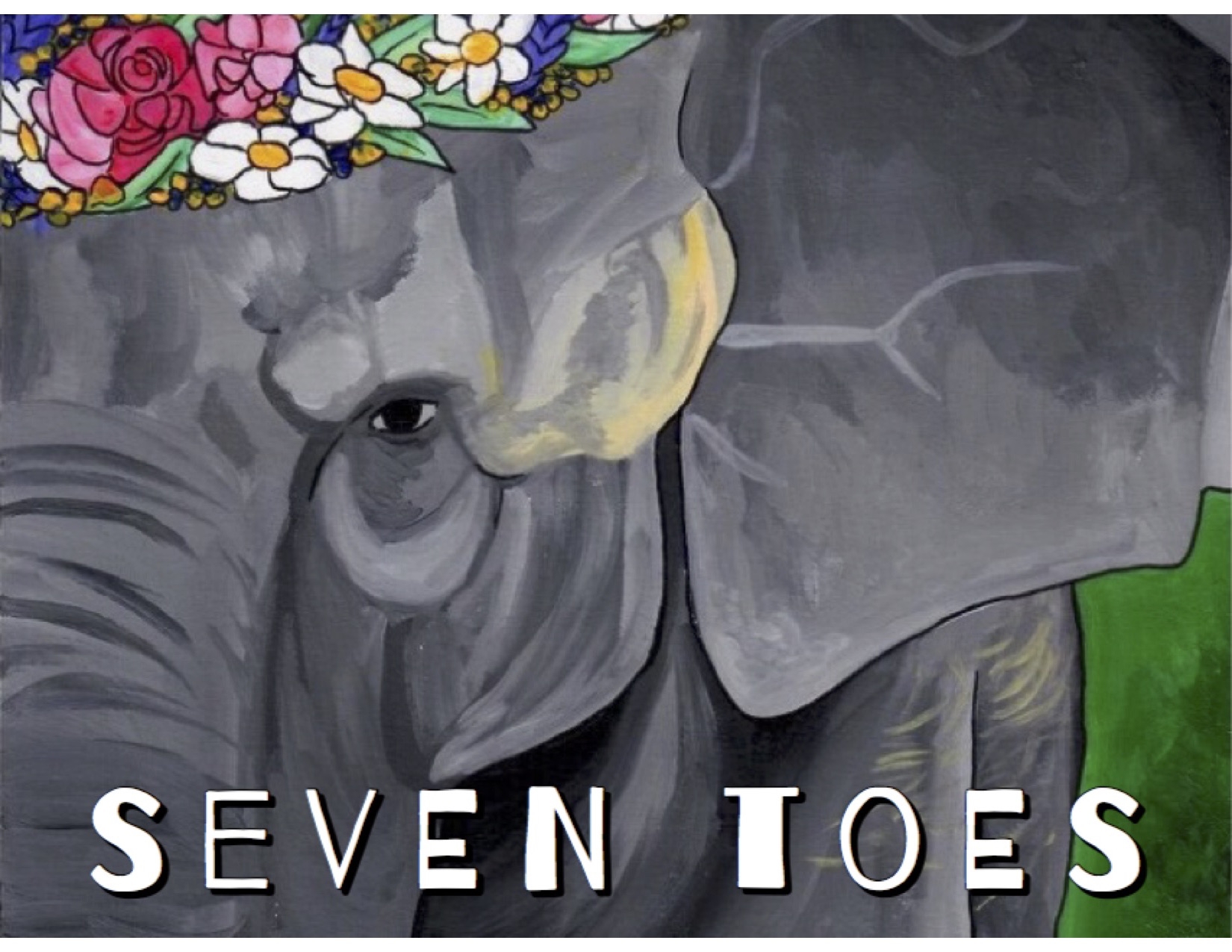 Seven Toes Children's Book