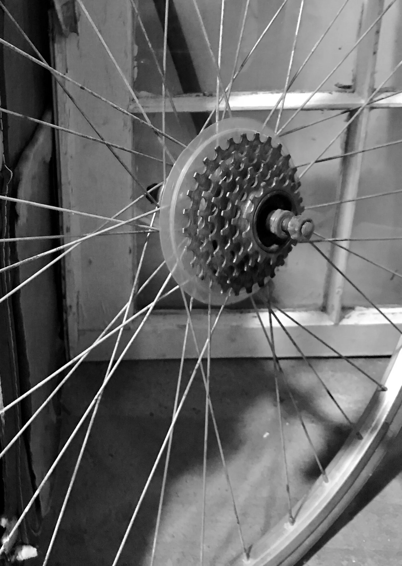 bike wheel.JPG