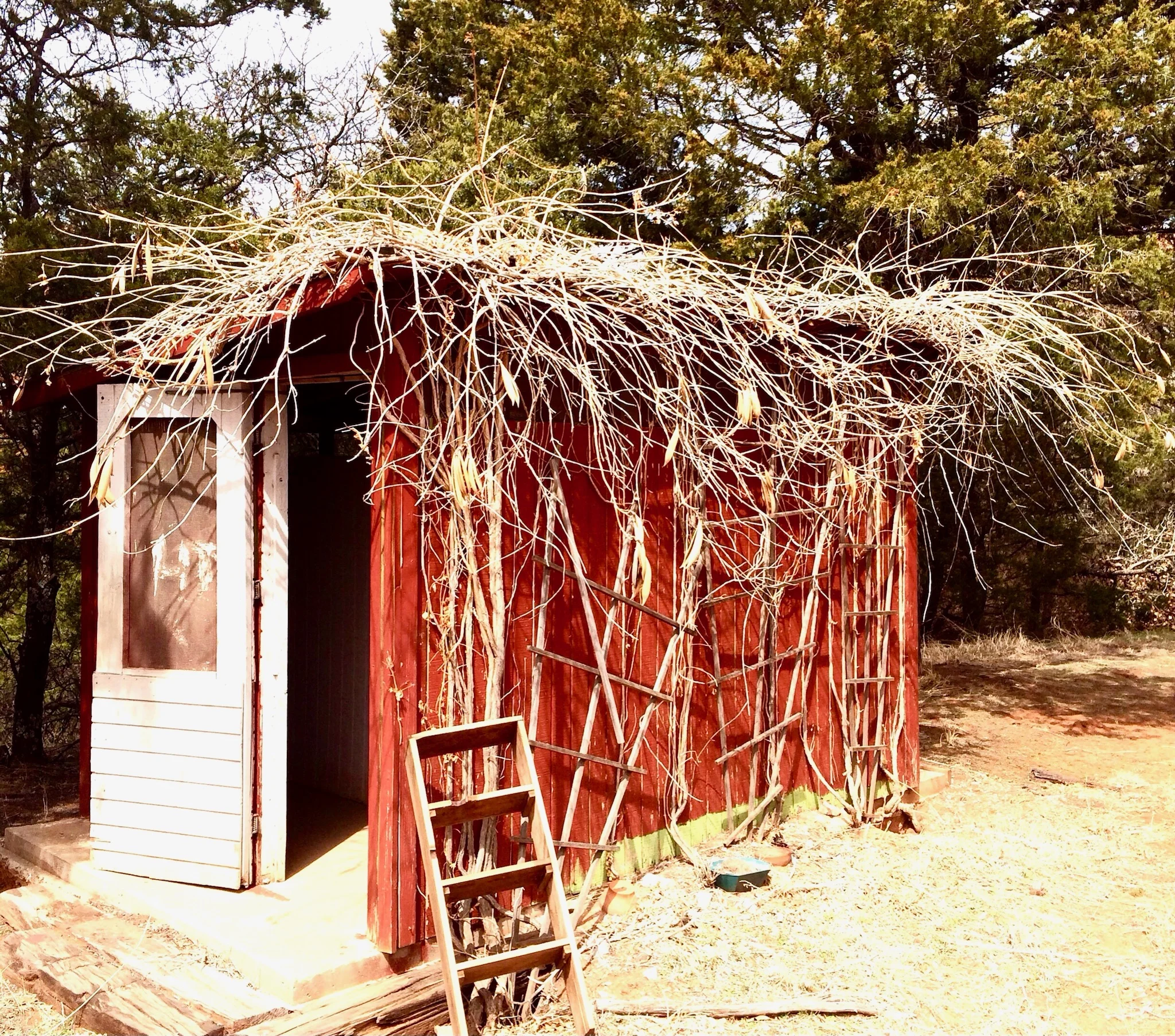 shack.JPG
