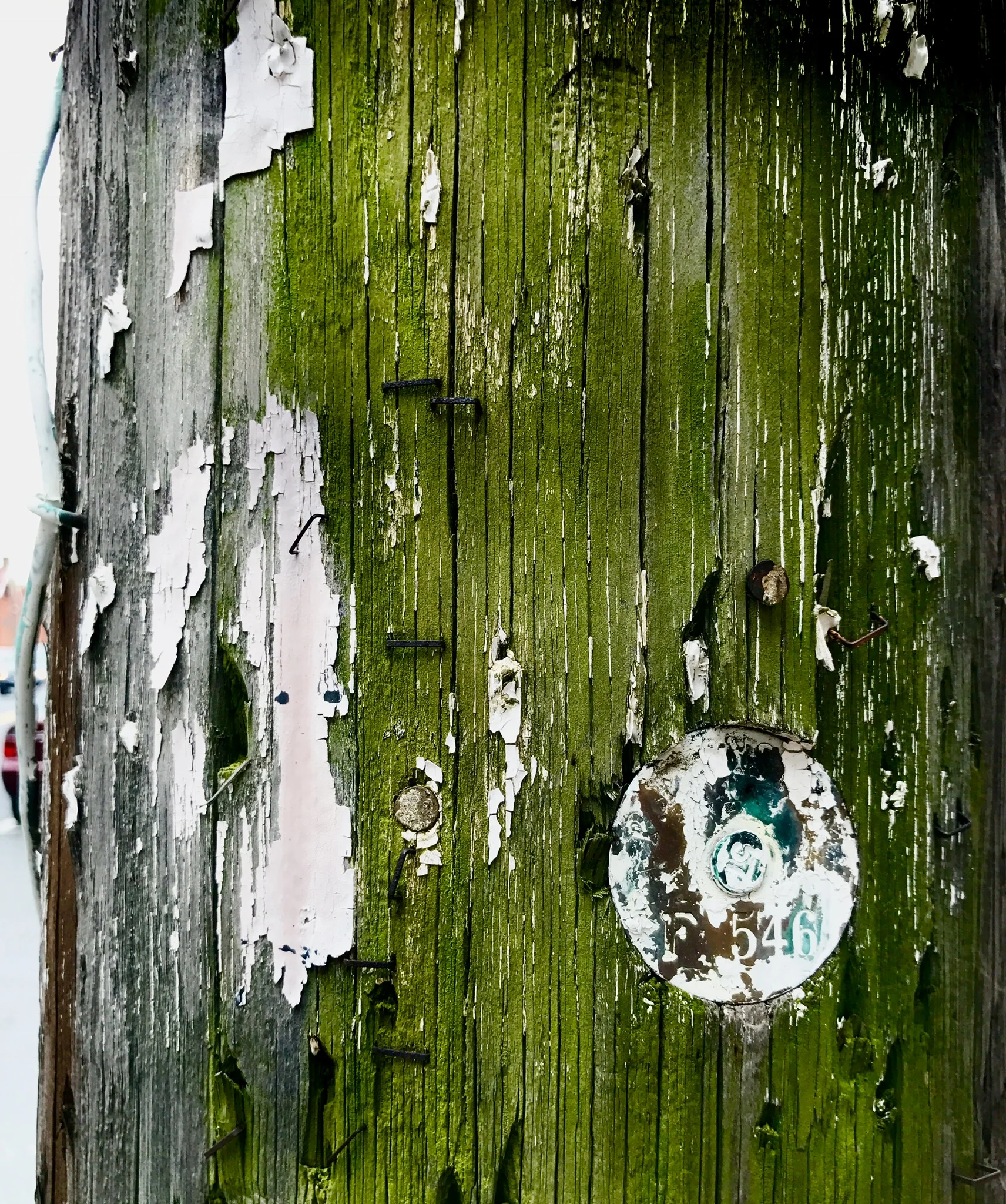 wood pole.JPG