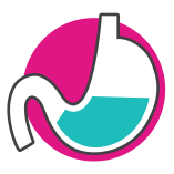 stomach 2.png