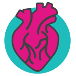 heart 2-1.png