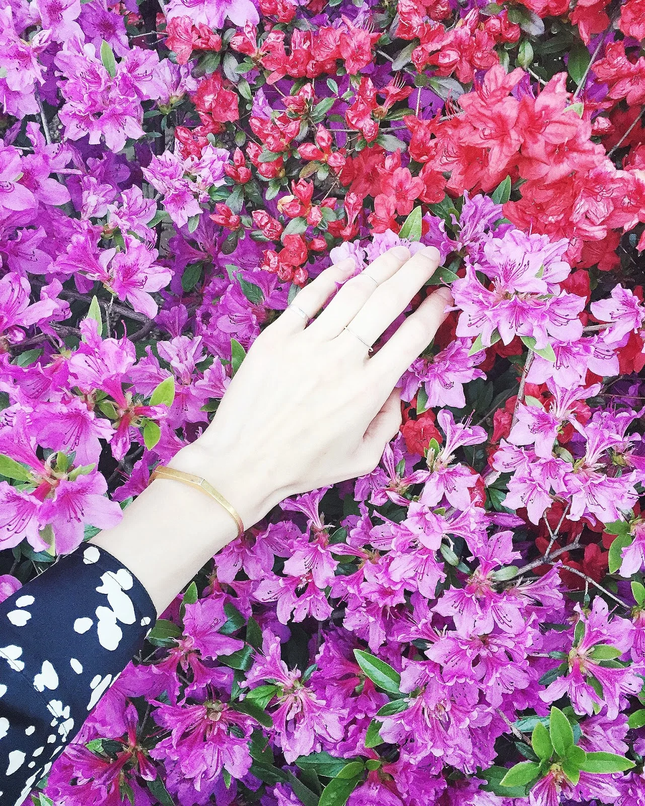 Full Moon in Scorpio