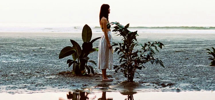 Progress in the Pause