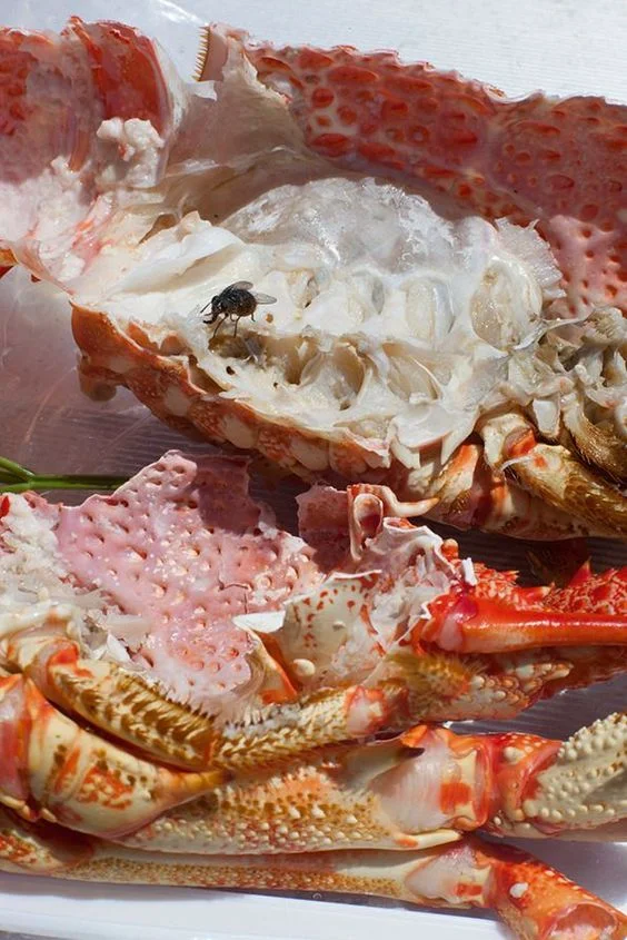 Photograph ℅ Wolfgang Tillmans