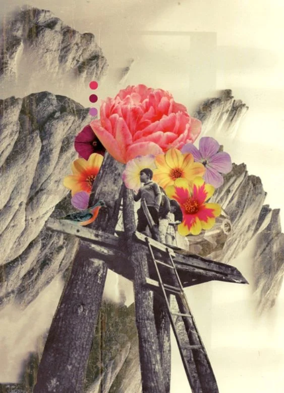 There’s Evidence That Climate Activism Could Be Swaying Public Opinion in the U.S.