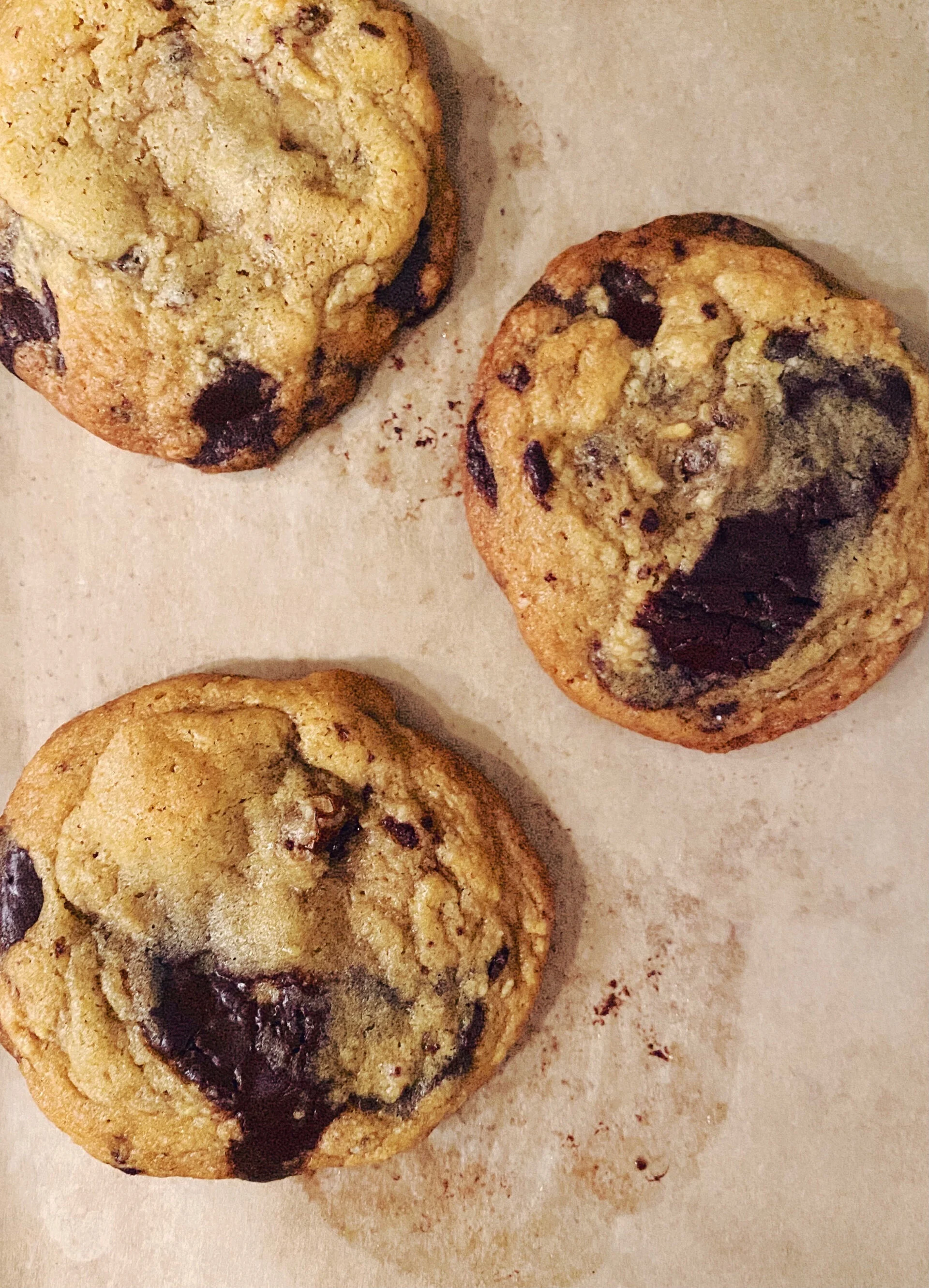 Einkorn &amp; Sour Golden Berry Chocolate Chip Cookies