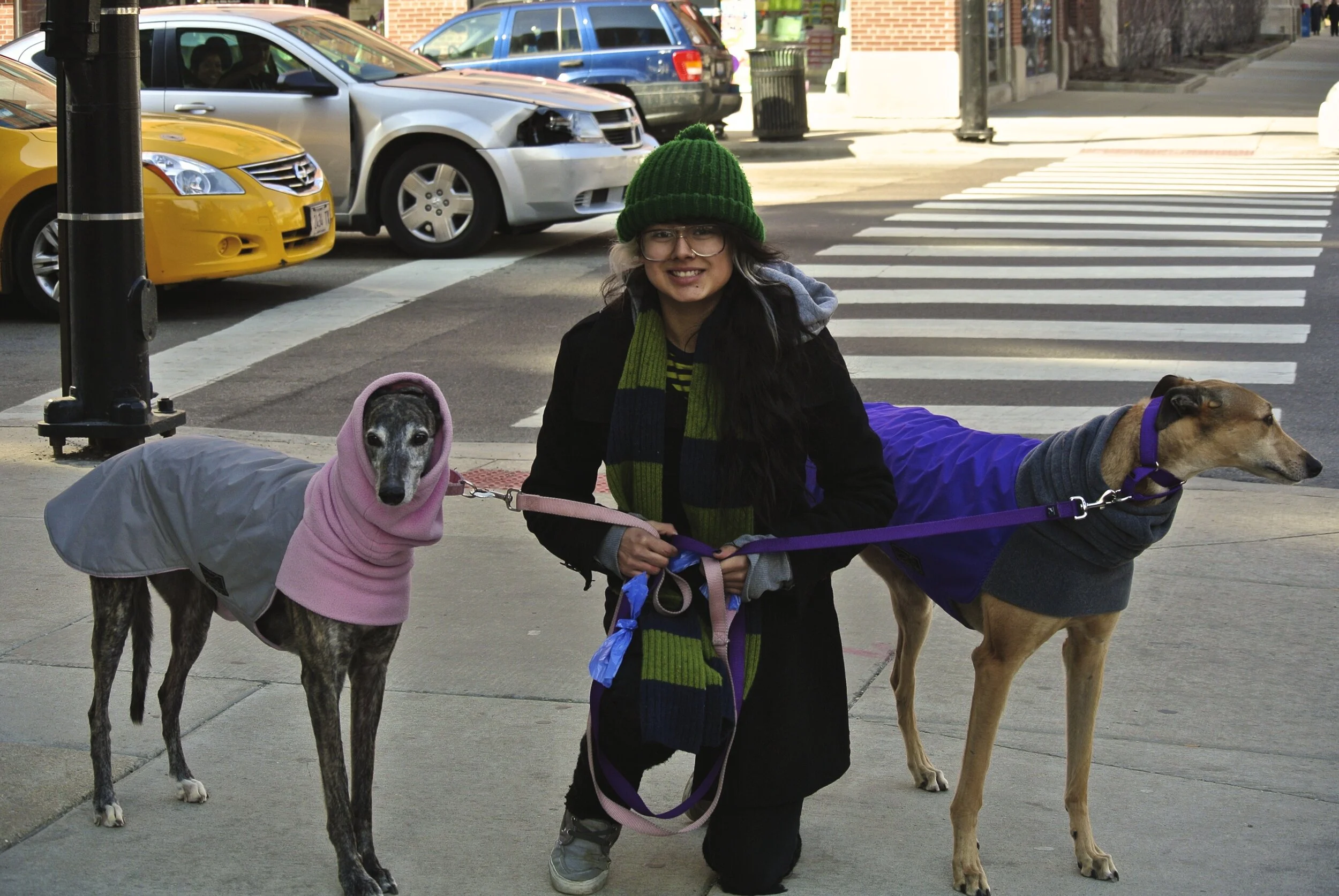 Oh my dogs or the Greyhounds' mom.