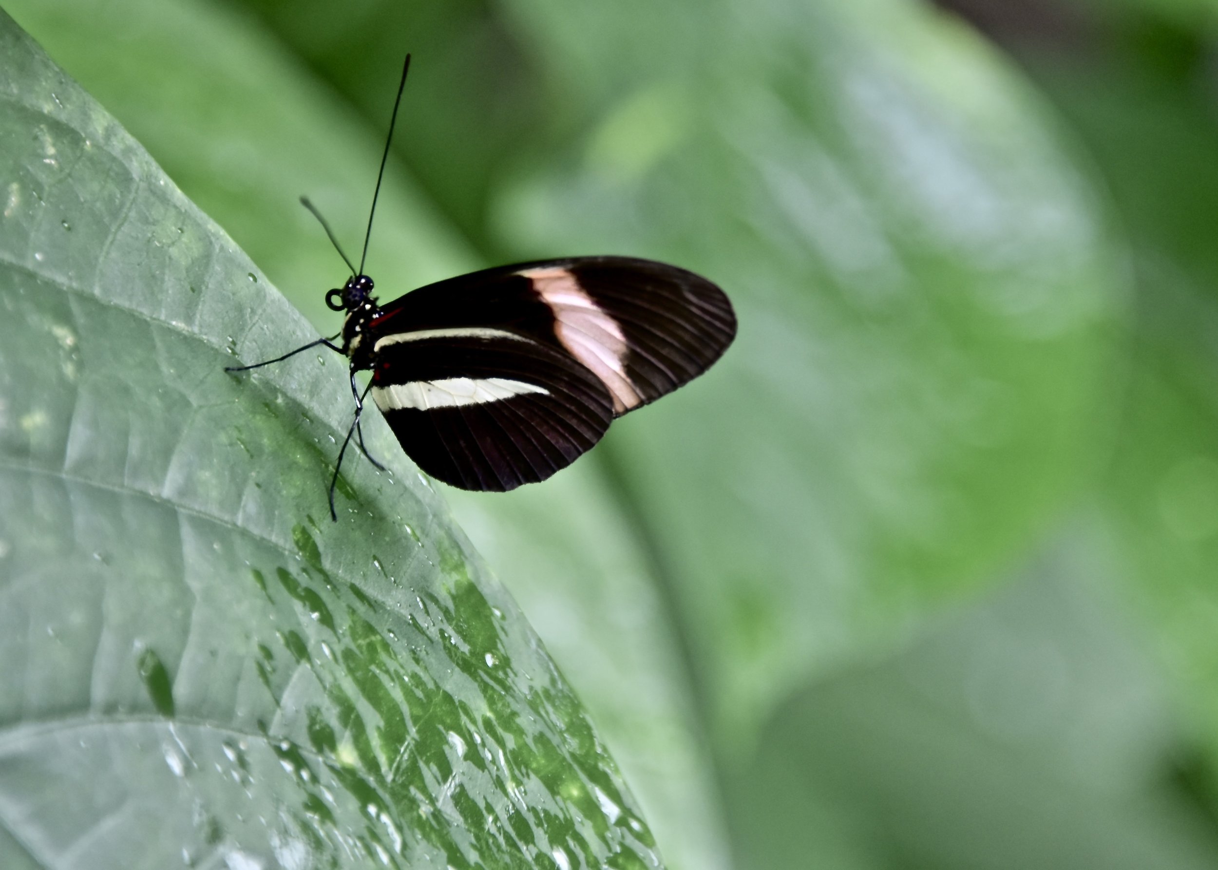 DSC_5507.jpg