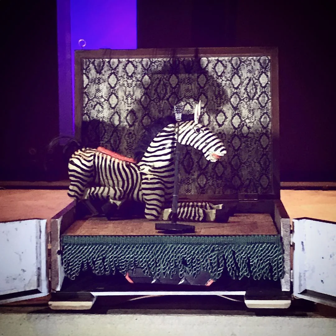 Puppet- Zack Zebra.jpg