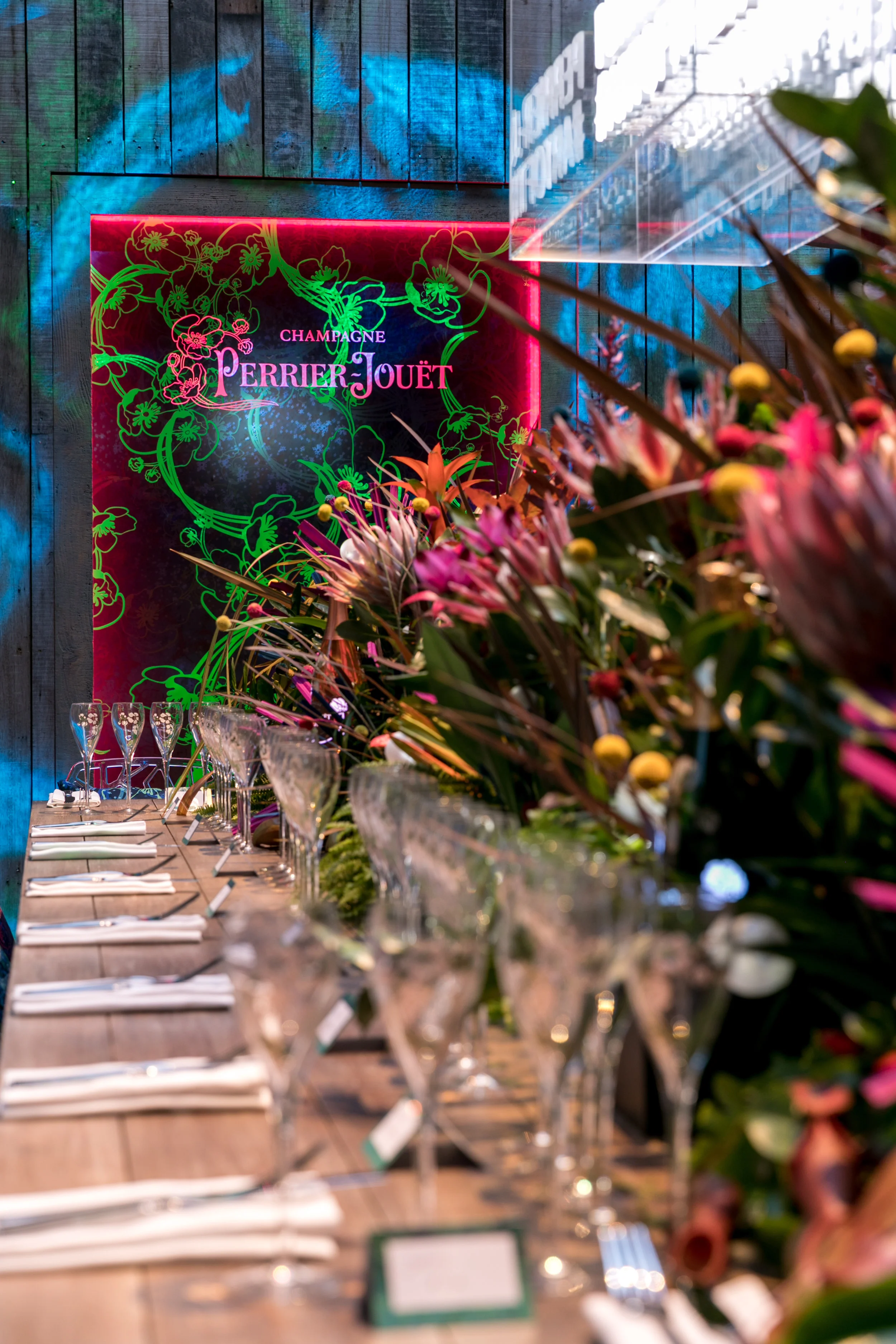 PJ at Mandrake-48.jpg