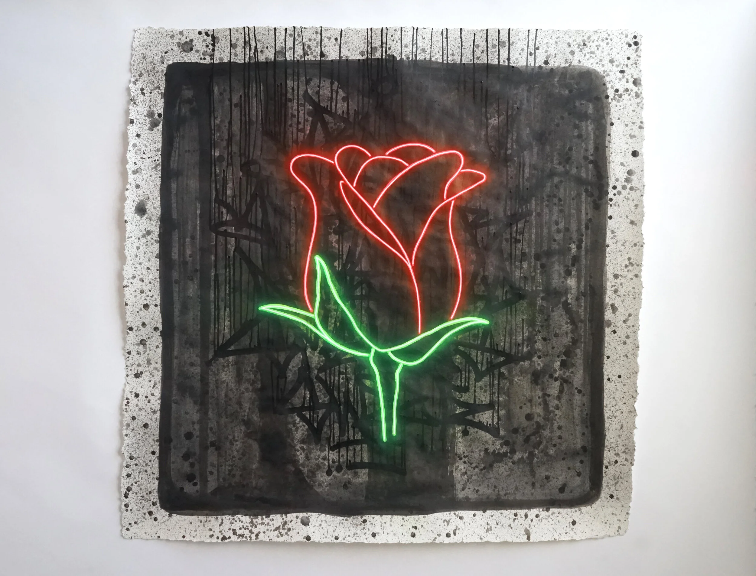 rose1.JPG