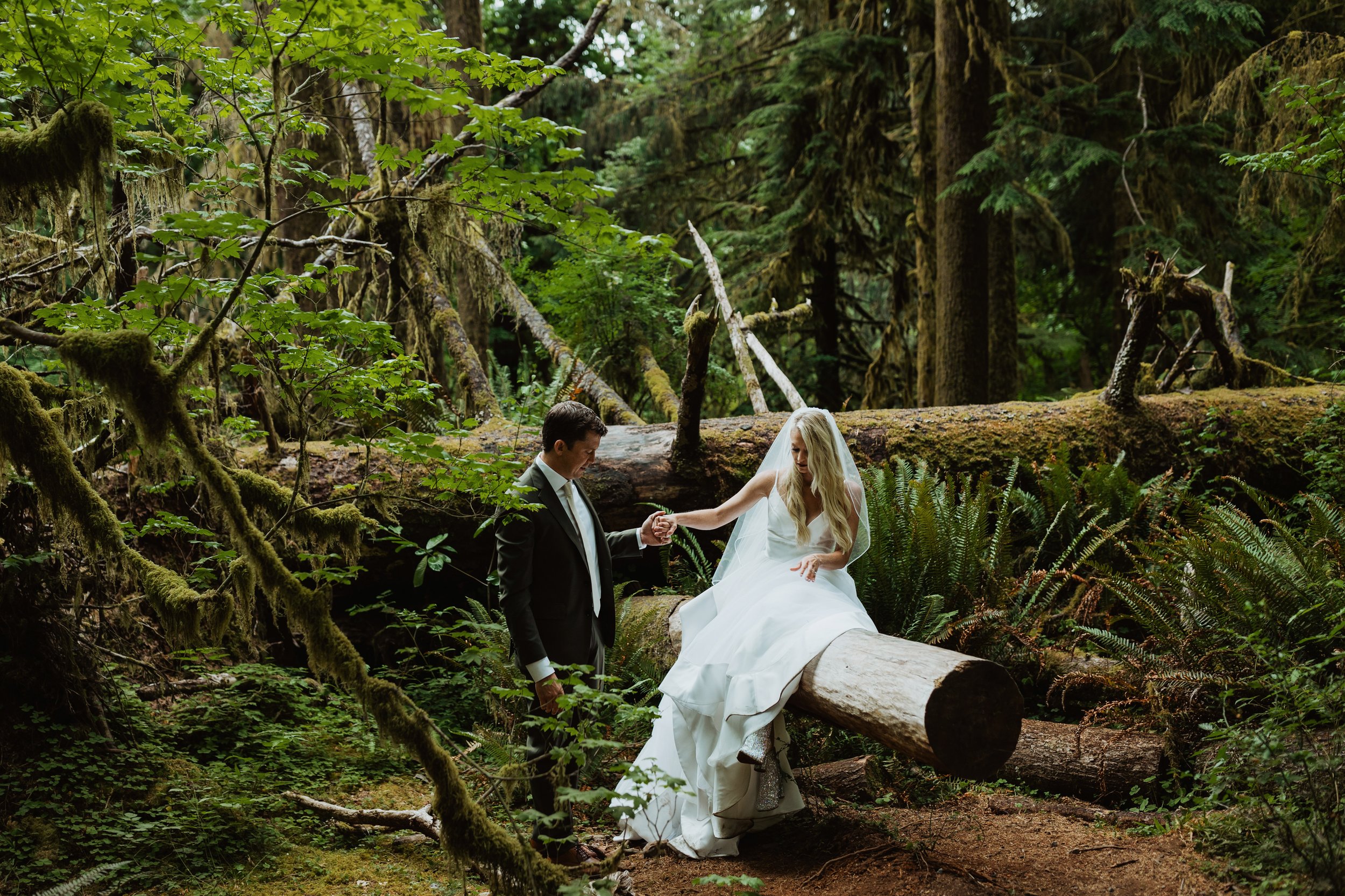 Are Dogs Allowed In Olympic National Park