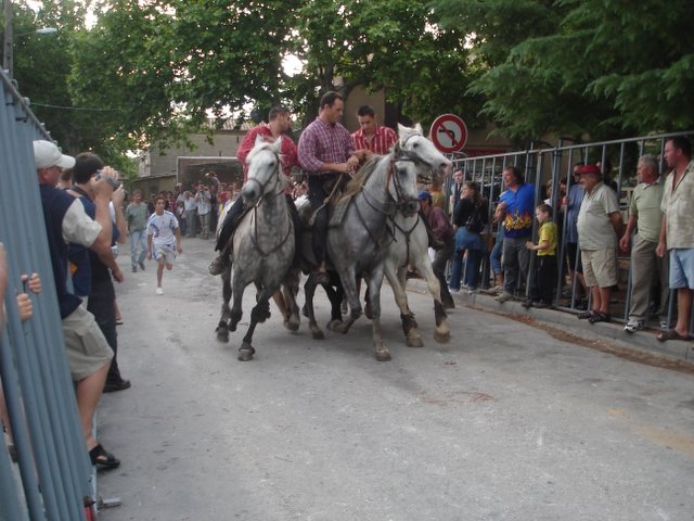 Running of the Bulls