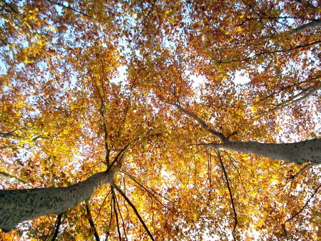 Autumn in the Costa Brava, Spain