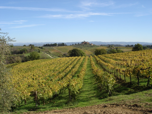 Tuscany in the Fall