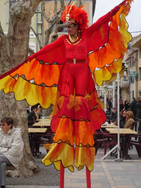 Papillion, Aigue Morte, France