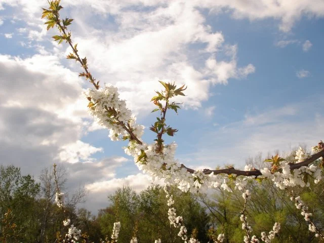 Springtime, Uzes