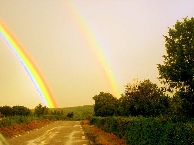 Rainbow- Uzes