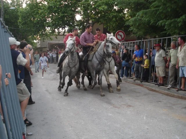 Running of the Bulls