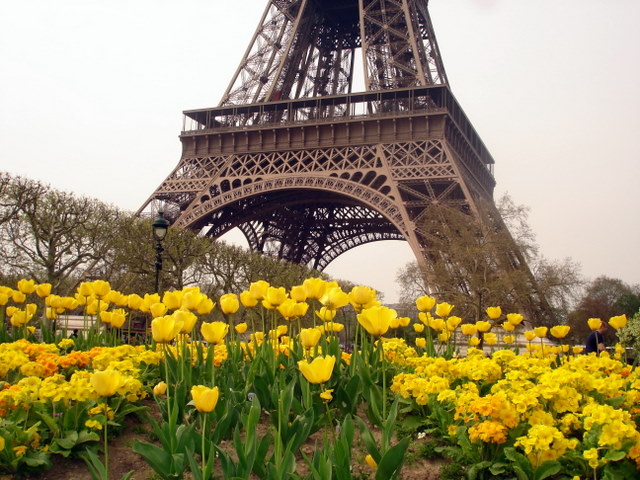 La Tour d' Eiffel