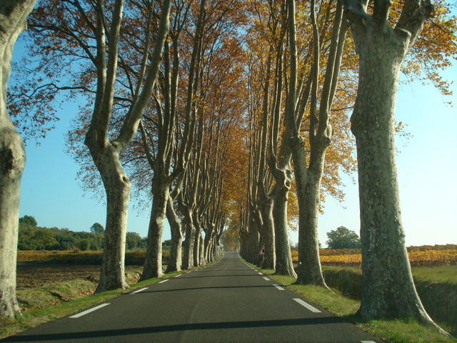 Magical Road Uzes, France