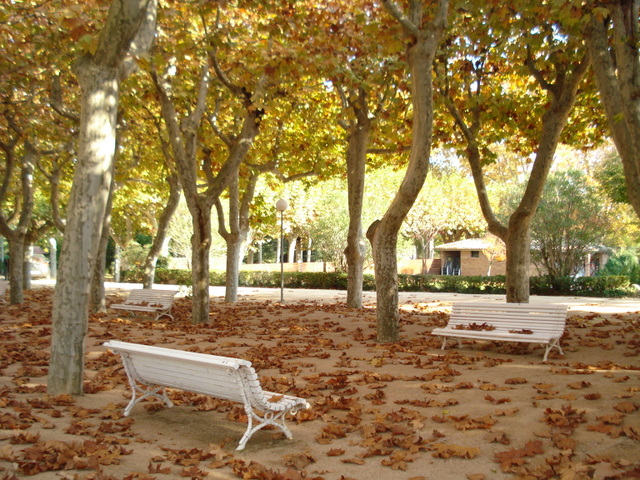 Autumn in the Park, Spain