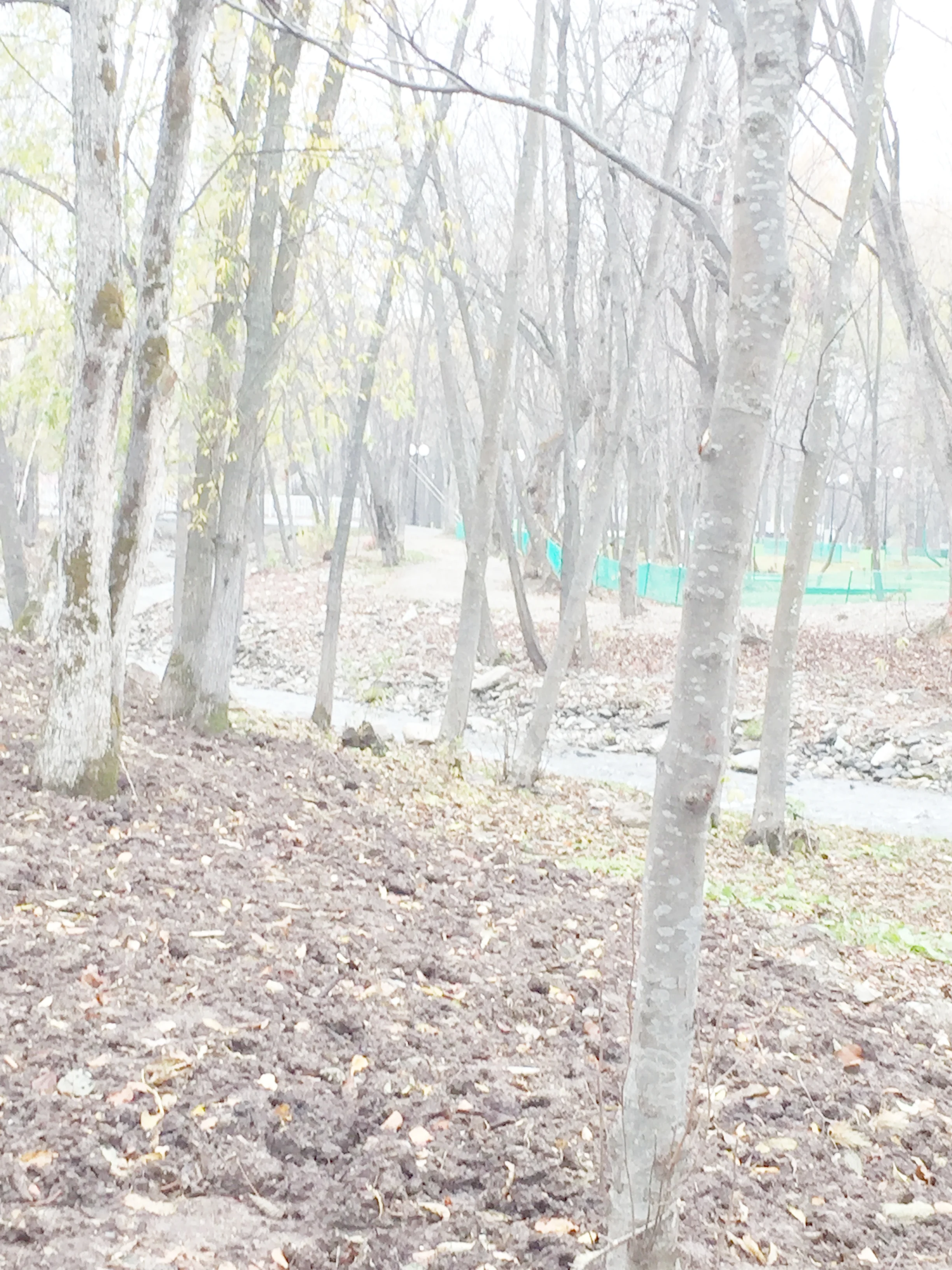 A visit to the Russian Island of Sakhalin