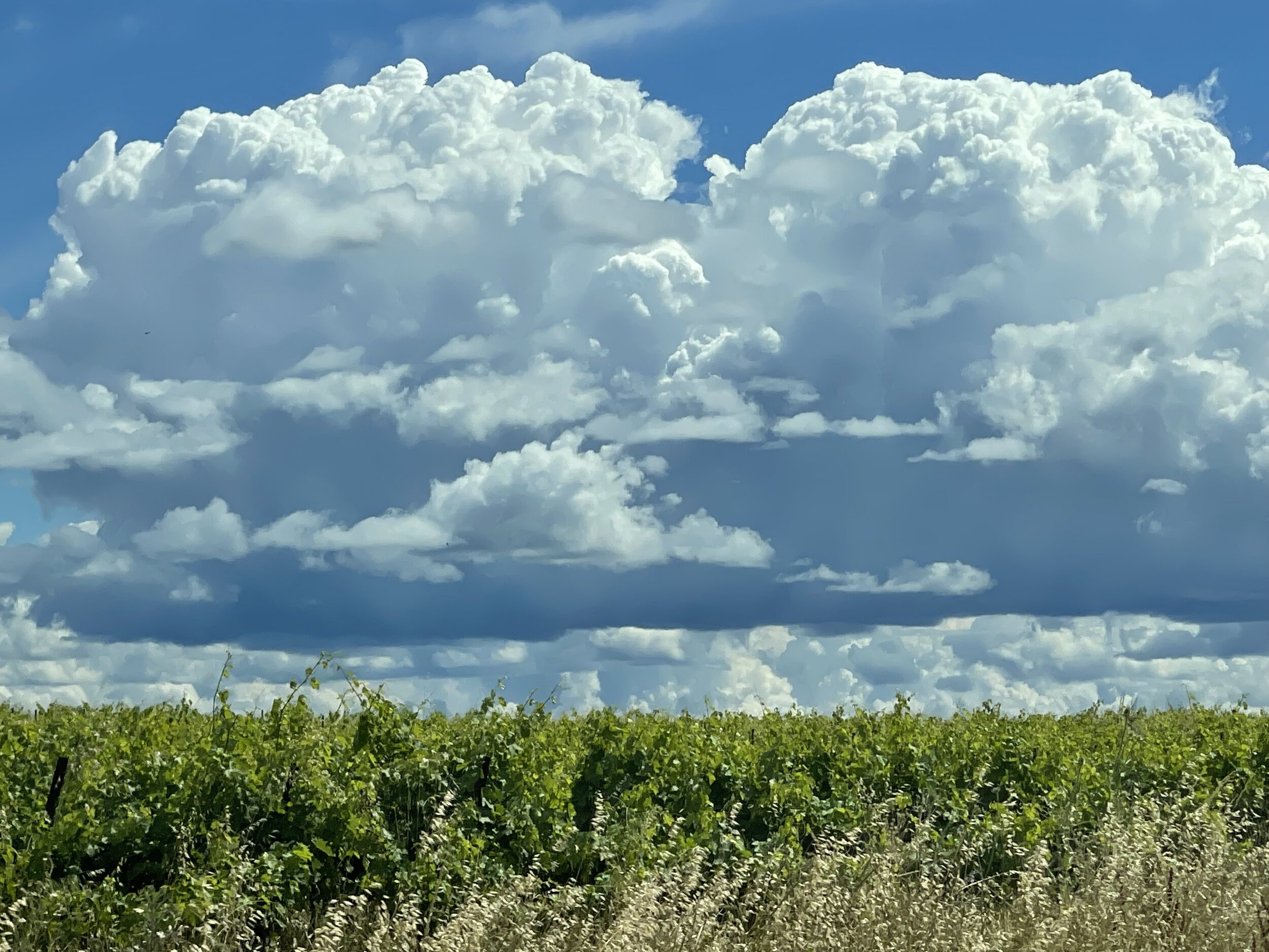 Amazing Clouds