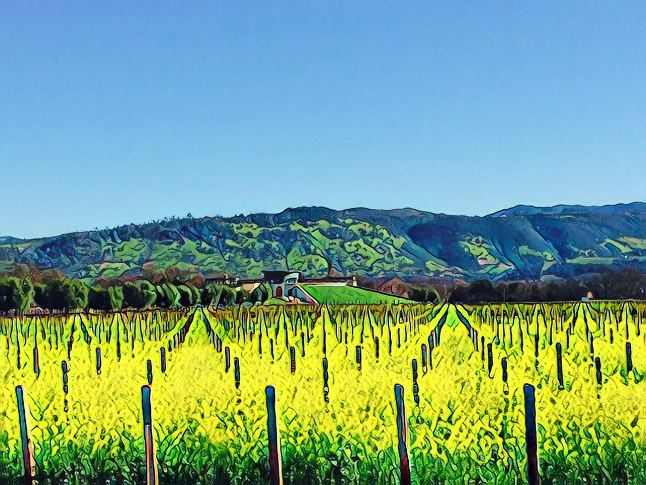 Vineyards and mtns 1 art photo.JPG
