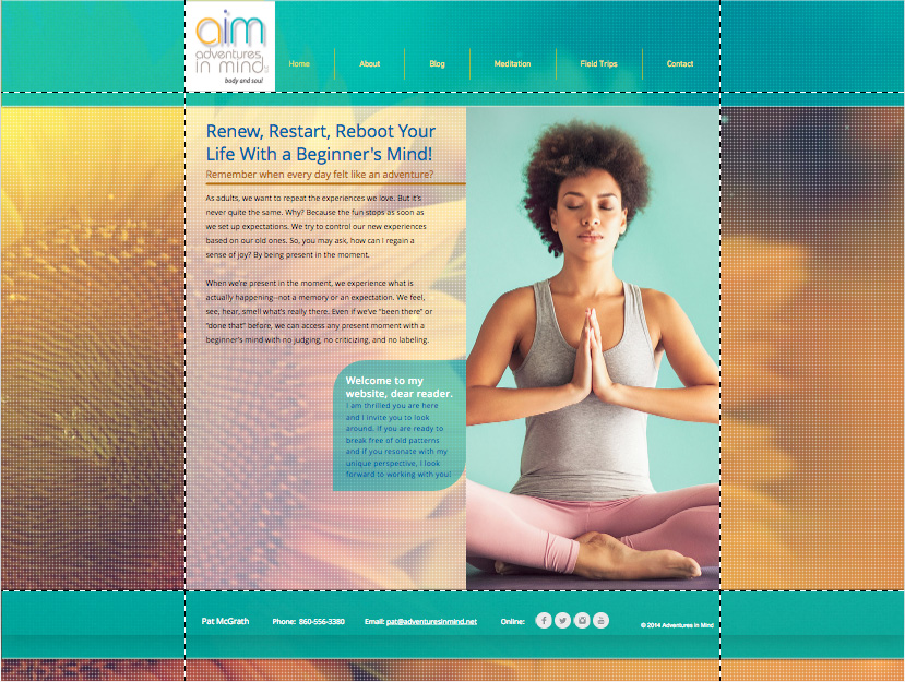 AIM Website Concept