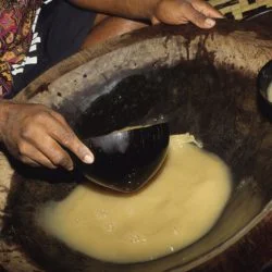 Kava- a traditional Pacific drink