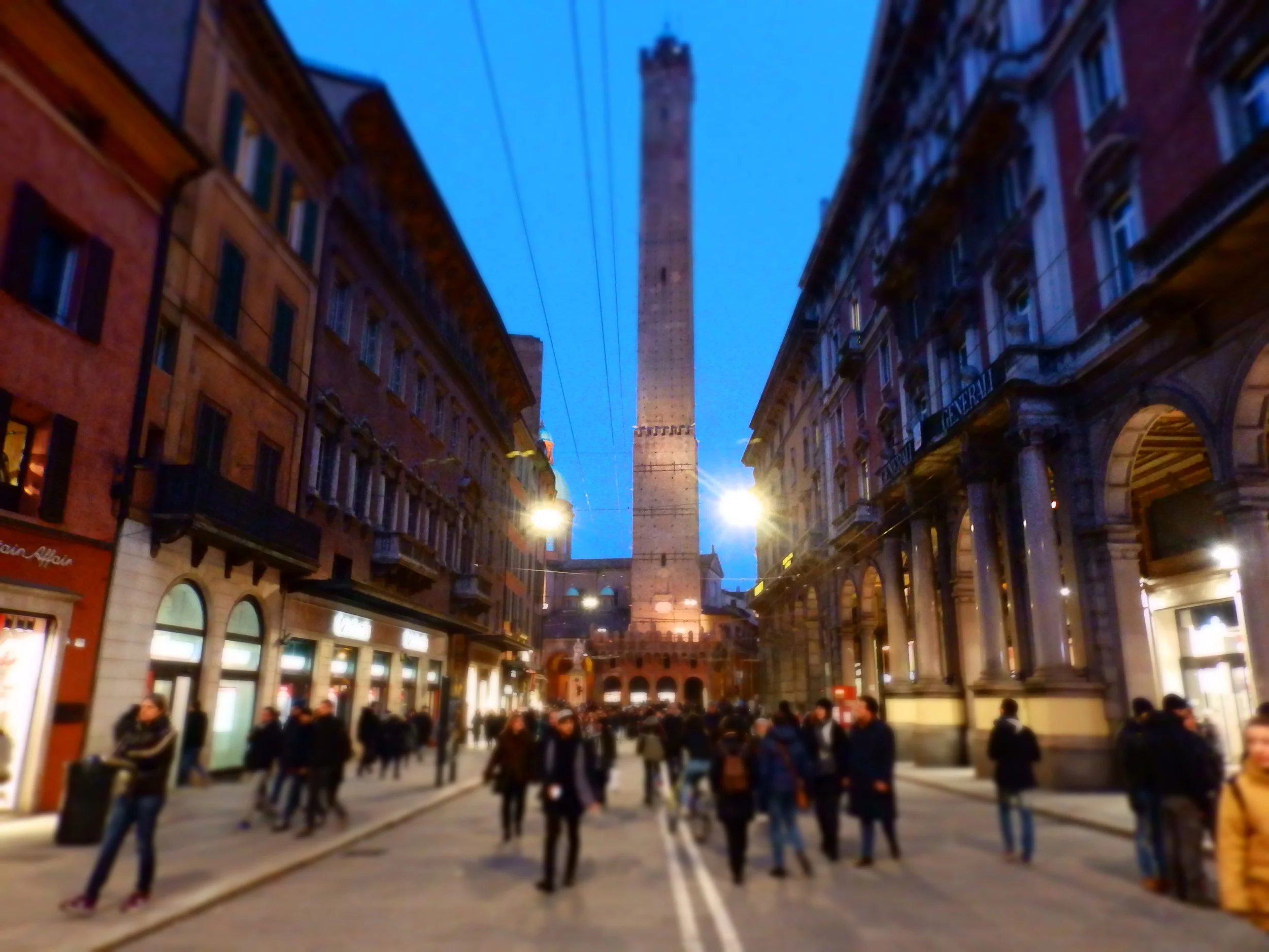 P1144714.jpg