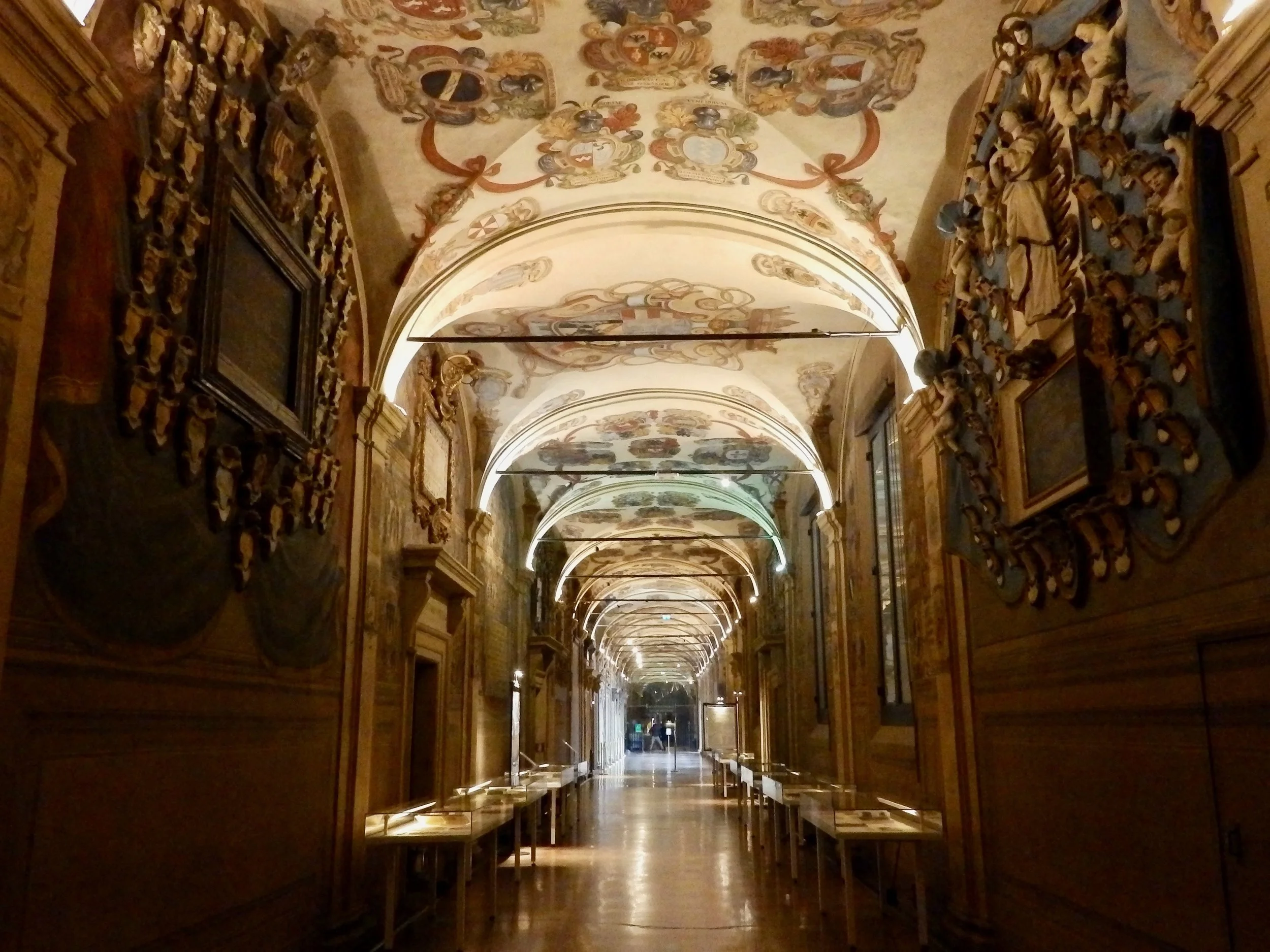 P1134491.jpg