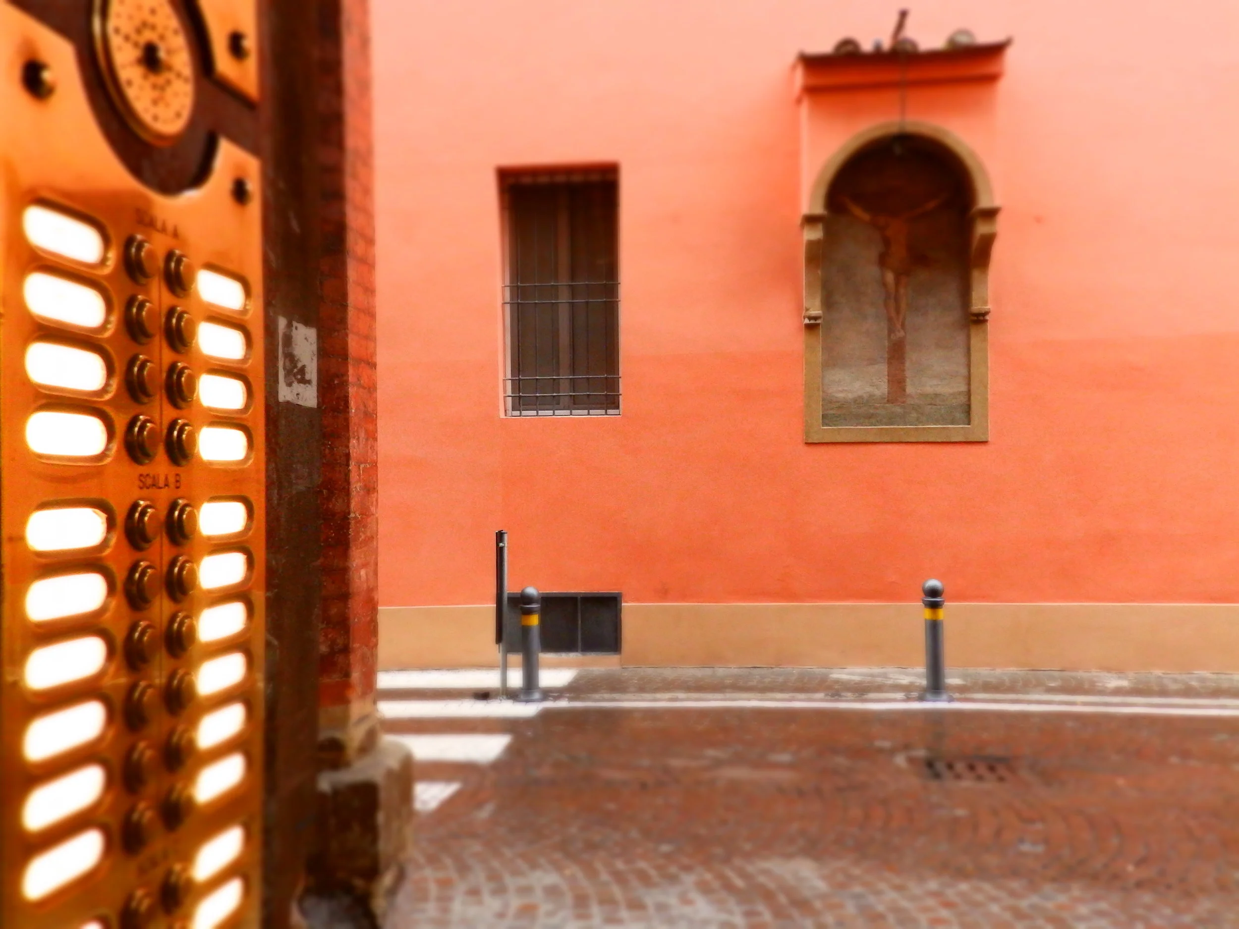 P1134519.jpg