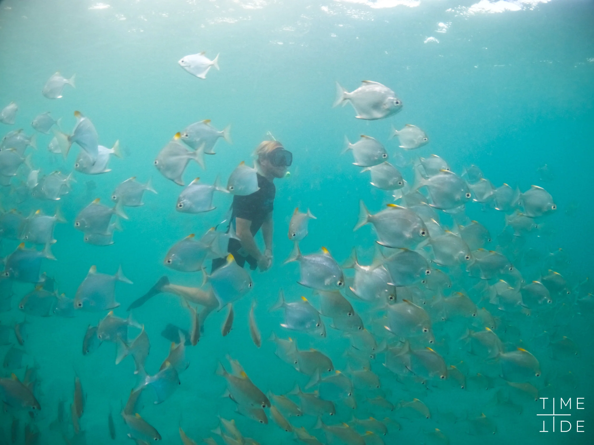 Time + Tide Miavana Diving 4.jpg