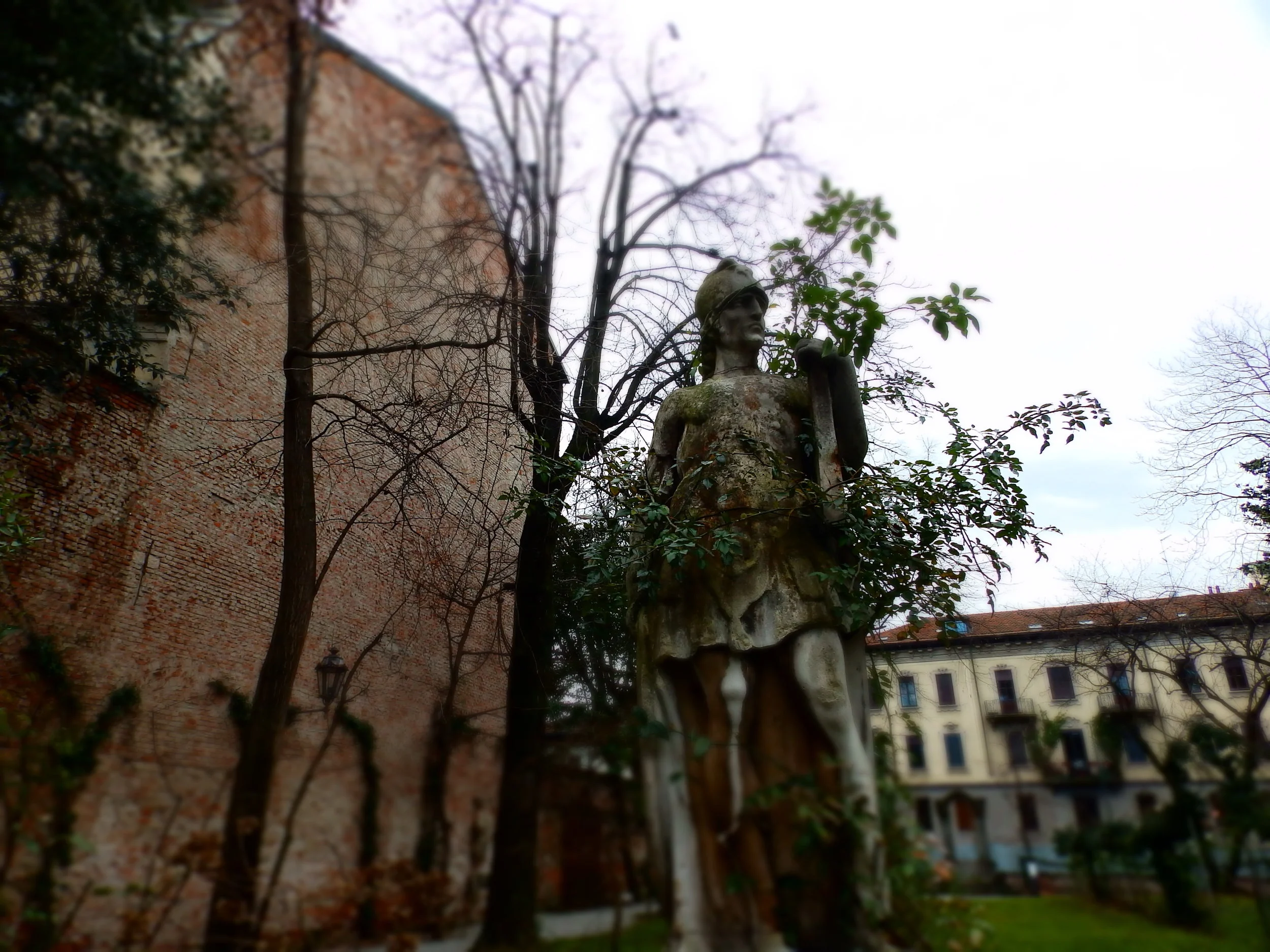 P1083989.jpg