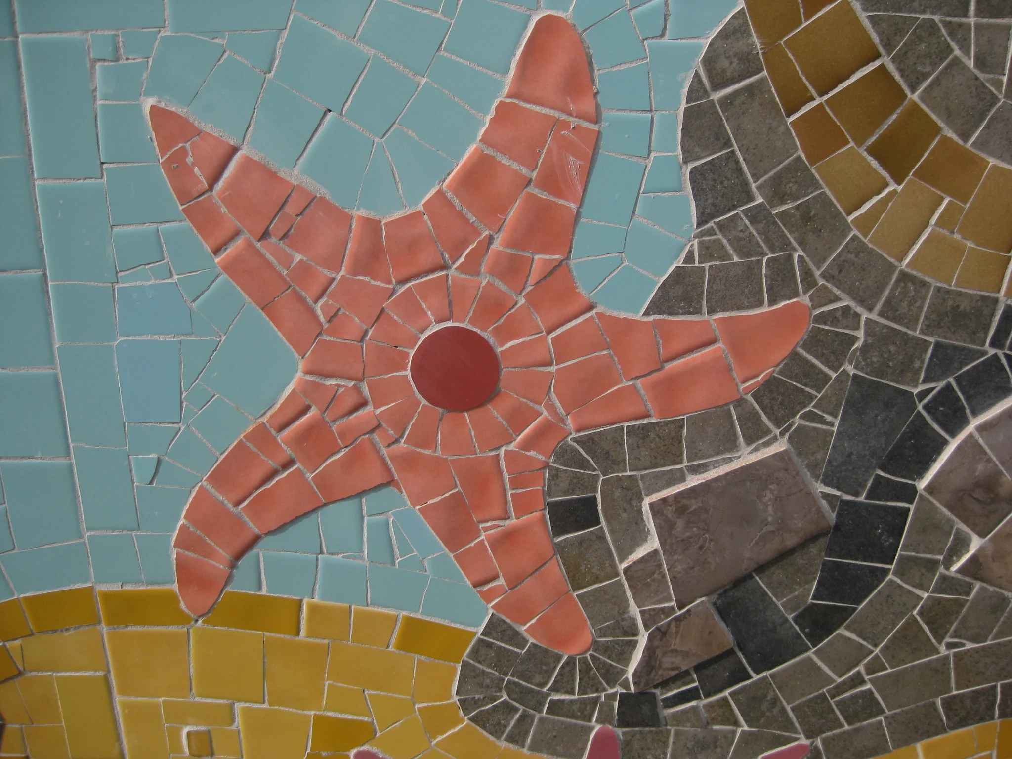 starfish brandling .jpg