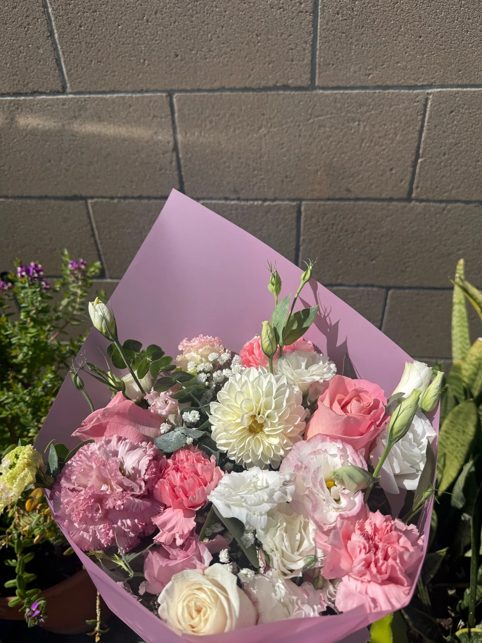 E256CA24-3A73-456E-A171-BD6683E69262.jpeg