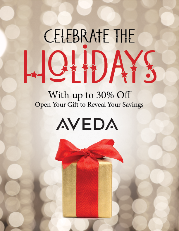 Holiday-promo-8x10.png