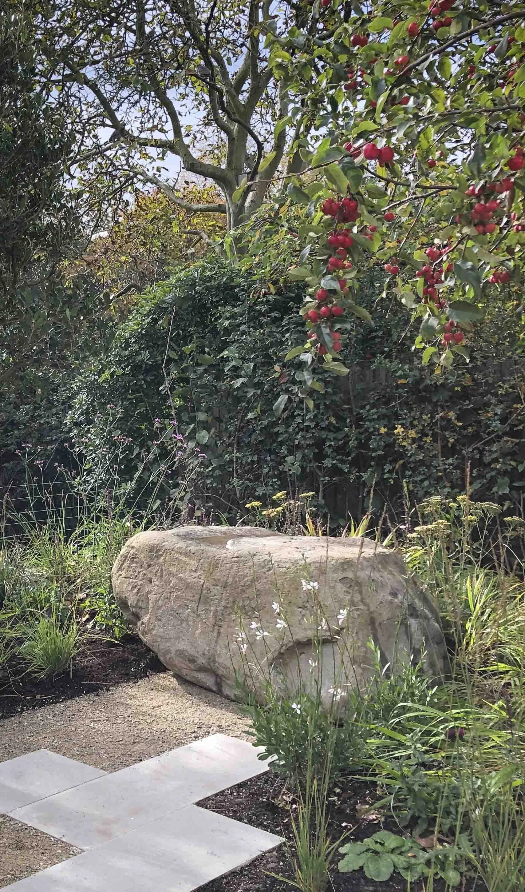 Cambridge Garden Design Landscape Designer Colm Joseph Gardens