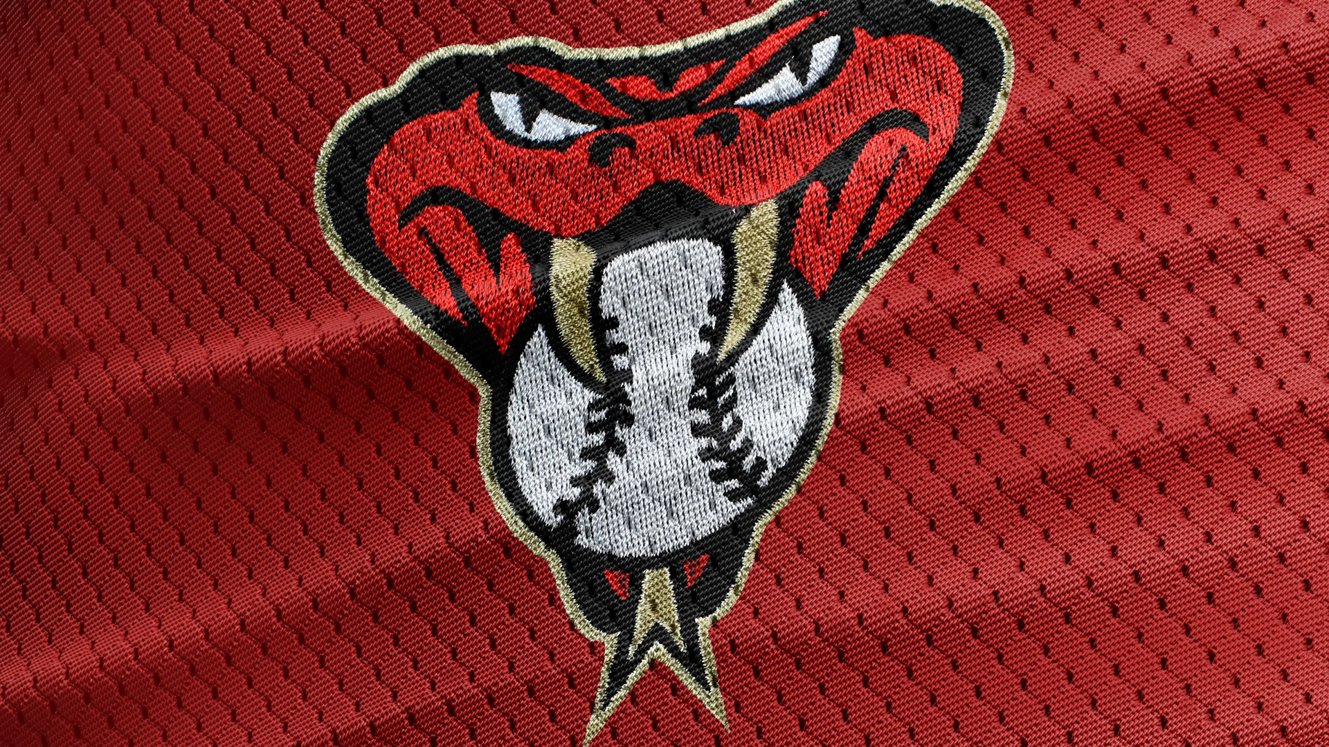 D-backs_wordmark-jersey-texture-snake.jpg